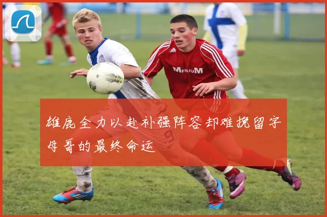 雄鹿全力以赴补强阵容却难挽留字母哥的最终命运