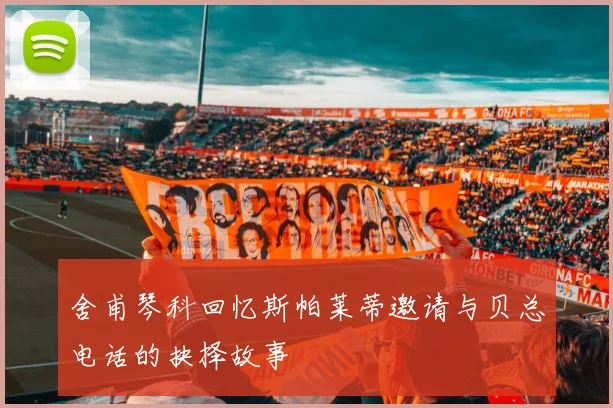 舍甫琴科回忆斯帕莱蒂邀请与贝总电话的抉择故事