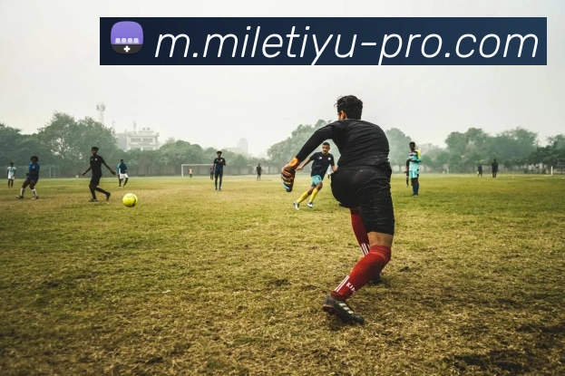 米乐官方平台生态图